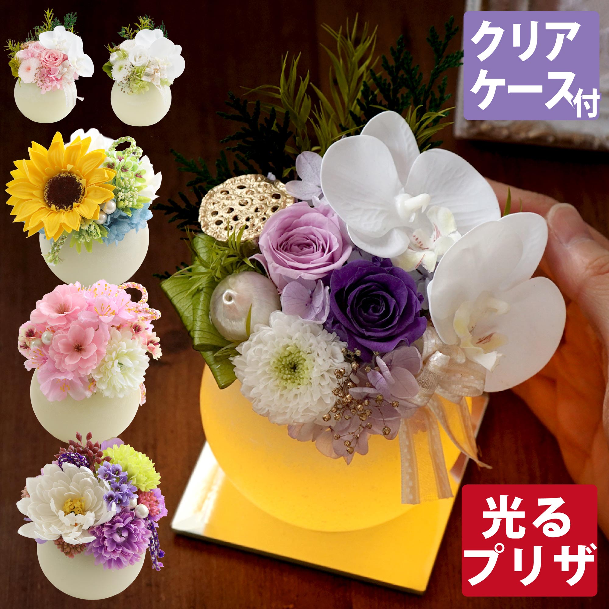 楽天市場】ミニ胡蝶蘭（プリザーブドフラワー｜花・観葉植物）：花