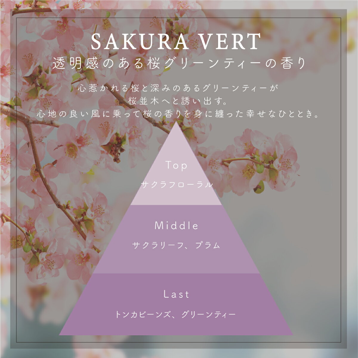 �ץ쥼��� ���� �ͥ��� ������ �������� �� �� �ͥ��륪���� SAKURA VERT ������ �������ȡ� ���ե� ������ �����꡼�֥��å��� ��� ���� ������� �������ץ쥼��� ��ͧã 20�� 30�� �ݼ� ������ �����륪�� �ե쥰��󥹥����� �İ��� ���ꥹ�ޥ� FLEGRE
