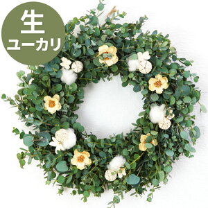 【11/15~順次お届け】 クリスマスリース 北欧 ナチュラル おしゃれ 『 ユーカリ リース 30cm 』 クリスマス リース フレッシュ 玄関 外 ナチュラルリース フレッシュリース 飾り 玄関飾り 屋外 生花 冬 クリスマスプレゼント 女性 誕生日プレゼント 新築祝い 友人 xmas