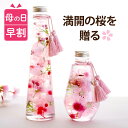 【母の日早割100円OFF】 母の日 プレゼント 花 桜 早割 造花 ギフト 『 さくら ハーバリウム L』 誕生日プレゼント 女友達 20代 30代 義母 母親 60代 退職祝い 40代 50代 女性 おばあちゃん 還暦祝い 古希 喜寿 祝い 雑貨 おしゃれ 卒業祝い 新築祝い 友人 引っ越し祝い