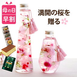 横浜花まりか ハーバリウム 【100円OFFクーポン】 母の日 早割 プレゼント コーヒー 花 花とお菓子 桜 『 さくら ハーバリウム L』 義母 母の日ギフト 退職祝い 女性 造花 観葉植物 誕生日プレゼント 女友達 20代 30代 母親 60代 50代 70代 祖母 還暦祝い 古希 喜寿 祝い 雑貨 おしゃれ 引っ越し祝い