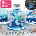 横浜花まりか ハーバリウム ＼まだ間に合う／ 母の日 おもしろ プレゼント ハーバリウム ギフト 『 熱帯魚 アクアリウム 』 新築祝い おしゃれ かわいい インテリア雑貨 退職祝い 四季 玄関飾り 季節 雑貨 造花 友人 引っ越し祝い おもちゃ 魚 男の子 子供 誕生日プレゼント 30代 女性 男性 妻