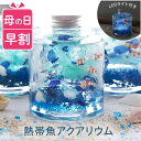 【100円OFFクーポン】 母の日 早割 おもしろ プレゼント ハーバリウム ギフト 『 熱帯魚 アクアリウム 』 新築祝い おしゃれ かわいい インテリア雑貨 退職祝い 四季 玄関飾り 季節 雑貨 造花 友人 引っ越し祝い おもちゃ 魚 男の子 子供 誕生日プレゼント 30代 女性 男性 妻