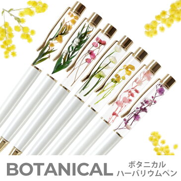【あす楽16時まで】 ハーバリウムボールペン ギフト 『 ボタニカル ハーバリウム ボールペン 』 誕生日プレゼント 義母 ハーバリウムペン 花 女性 お祝い お花 ドライフラワー ミモザ 完成品 就職祝い 即日発送 母の日 プレゼント 実用的 花以外 敬老の日