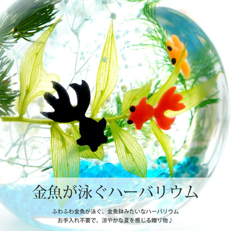 ���⤷�����ե� �͵� ���ؾ��� ���� ���տ�ʪ �ƥ��ե� �� ��� �ϡ��Хꥦ�� S�� ���⤷�� �ץ쥼��� �Ҷ� ���ե� ���� �������ץ쥼��� ���� ��� 50�� 60�� ���� 20�� ��ͧã 30�� ���� ͧ�� ���襤�� ���� ��ʪ ������� ���渫�� ��Ź�ˤ� ���ꥹ�ޥ� FLEGRE