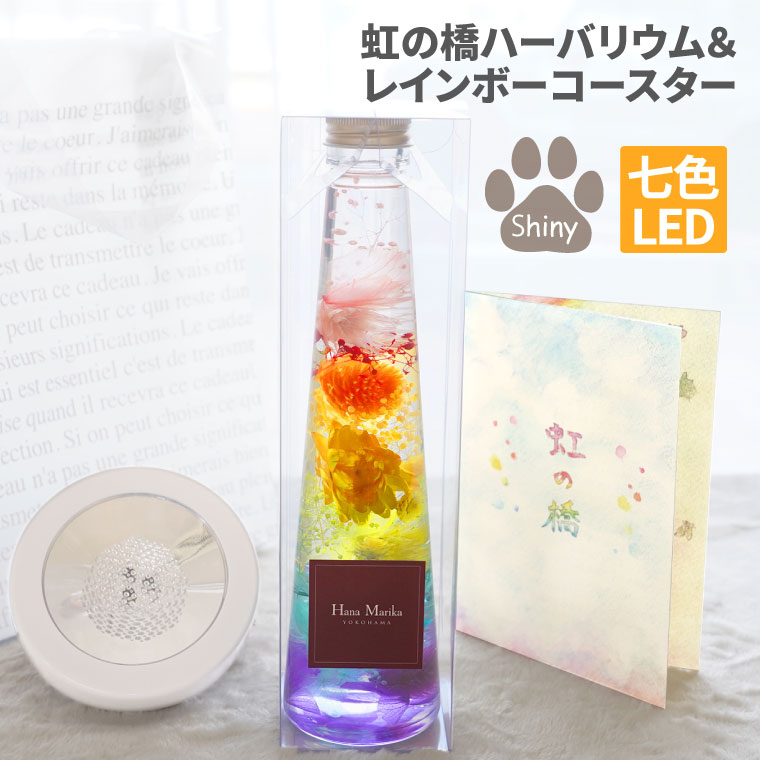 【廃番】 ペット お供え 花 ペット供養 お彼岸 『 虹の橋 ハーバリウム とレインボー コースター セット 』 犬 お悔やみ 贈り物 仏花 造花 祭壇 ミニ仏壇 お供え花 供養花 命日 お供え物 一周忌 喪中見舞い プリザーブドフラワー ミニ 猫 ライト LED お悔み