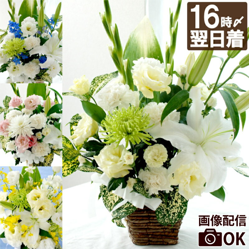 【あす楽＆日付指定可】 お彼岸 お供え 花 アレンジメント 仏花 生花 お悔やみ 贈り物 『 お供え花 おまかせアレンジ ＆ 花束【B】』 四十九日 御仏前 お供え物 法事 法要 一周忌 三回忌 葬儀 電報 弔電 枕花 供花 即日発送 命日 喪中見舞い 仏壇用 お悔み アレンジ お盆