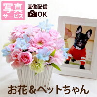 【あす楽＆日付指定可】 犬 お悔やみ 贈り物 ペット メモリアル フォトフレーム 『...