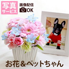 https://thumbnail.image.rakuten.co.jp/@0_mall/marika/cabinet/images/fm-014_0_haishin.jpg