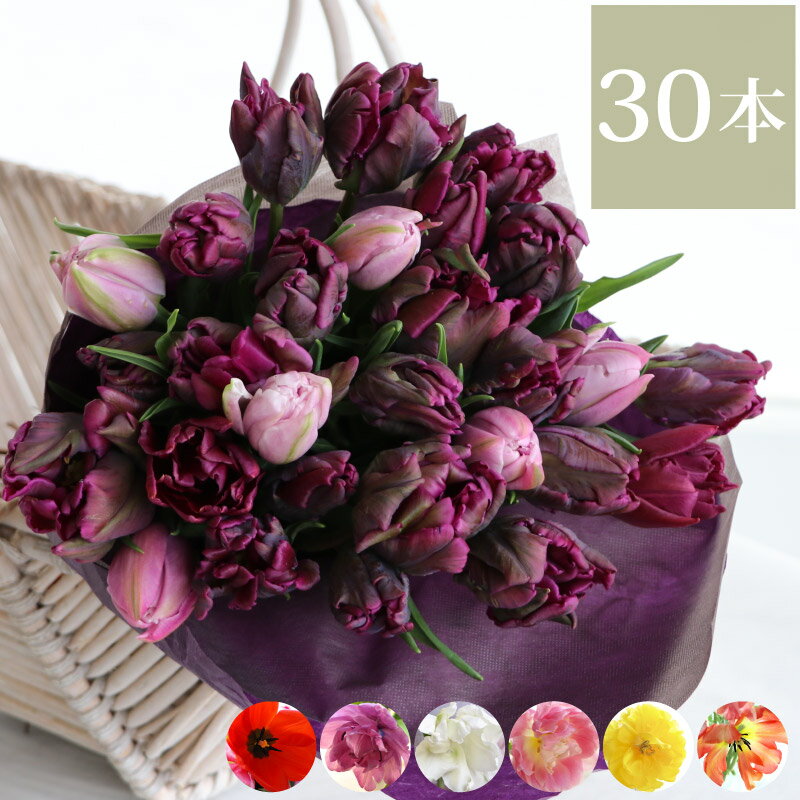 【7日前予約品】 生花 誕生日 お祝い 花 花束 退職 『 チューリップ の花束 30本』 退職祝い 定年退職 祝い 送別会 プレゼント 女性 おしゃれ 誕生日プレゼント 女友達 30代 母親 義母 50代 60代 卒業祝い 就職祝い 還暦祝い 喜寿祝い 結婚祝い 結婚記念日 妻 両親 贈り物のサムネイル
