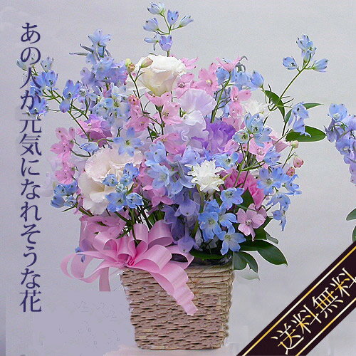 【あす楽16時まで】 お見舞い 花 お供え アレンジメント 喪中見舞い 『あの人が元気になれそうな 花AB』 快気祝い ペット お悔やみ 贈り物 犬 鳥 結婚記念日 妻 両親 誕生日プレゼント 女性 母親 義母 女友達 30代 50代 60代 新築祝い 引っ越し祝い プレゼント 友人 お彼岸