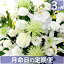 月命日に毎月花を:Cコース:お試し1回 お悔やみ/お供え 生花(命日 お悔み用 お悔やみの花 彼岸花 ギフト お供え花 枕花 仏事 三回忌 法事 墓前 供花 一周忌 仏壇 仏前 お彼岸 御供え 法要 お花 四十九日 金額 花束 供養 弔事 御供物 お供え物 仏花 お寺 お得10P30May15