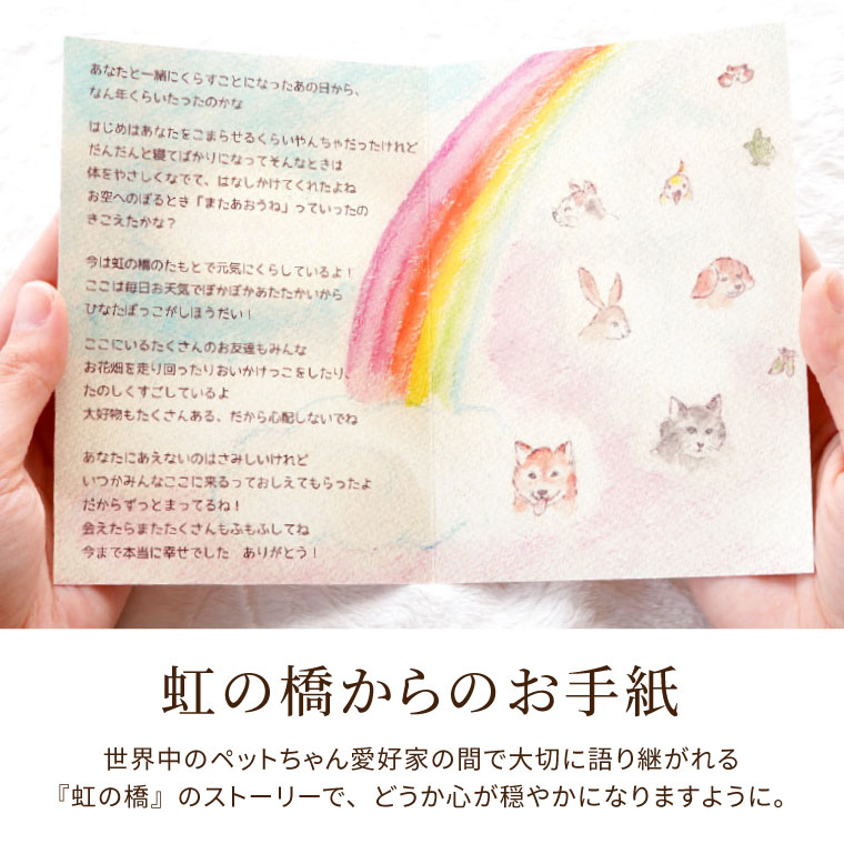 �ڥ��ץ����� ������ ���եȥ��å� �ڥåȶ��� �� ���ζ� �Τ��ä� �ڥå� ������ ����Ω�� ���å� �� ����� �ڥå� ������ ������� �ڥåȤ����� ���� ���� �� ǭ ̿�� £��ʪ ʩ�� ����ѥ��� ��Ω�� �ͽ����� ����� ������ʪ �ڥå���ʩ�� ����