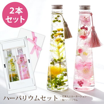 【あす楽16時まで】 母の日 花 『 ハーバリウム 2本 ギフト セット ( 花束 入り カーネーション & 桜 )』 プレゼント おしゃれ 義母 誕生日プレゼント 還暦祝い 女性 60歳 祝い 贈り物 祖母 花以外 結婚記念日 両親 妻 退職祝い 花 父の日 ペアギフト