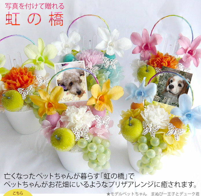 犬などペットへのお悔やみに贈る キャンドルやお花 ギフト 予算5 000円 のおすすめプレゼントランキング Ocruyo オクルヨ