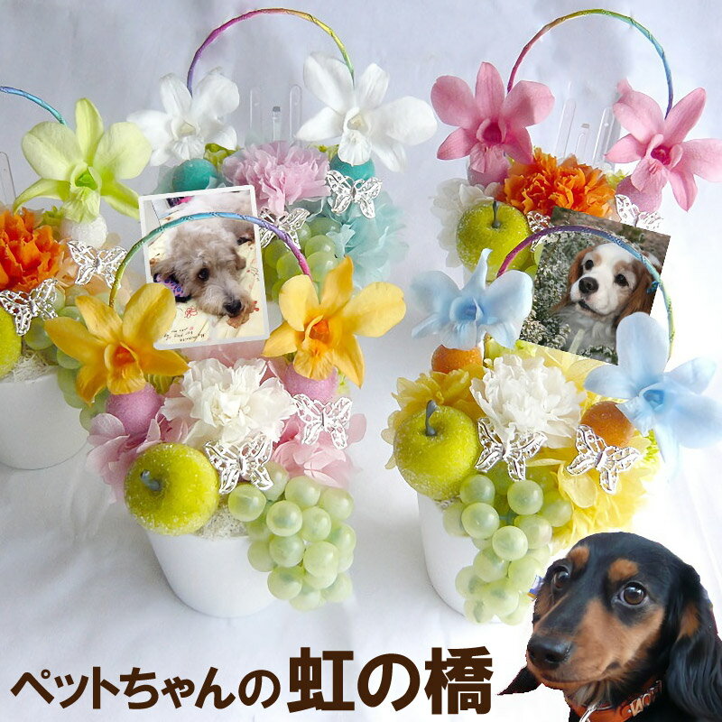 犬などペットへのお悔やみに贈る キャンドルやお花 ギフト 予算5 000円 のおすすめプレゼントランキング Ocruyo オクルヨ