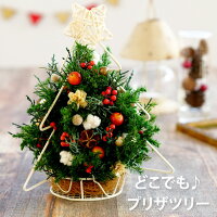 ミニクリスマスツリーをギフト 玄関に置ける小さくてかわいいツリー 予算8 000円 のおすすめプレゼントランキング Ocruyo オクルヨ ミニクリスマスツリーをギフト 玄関に置ける小さくてかわいいツリー 予算8 000円 のおすすめプレゼントランキング Ocruyo オクルヨ