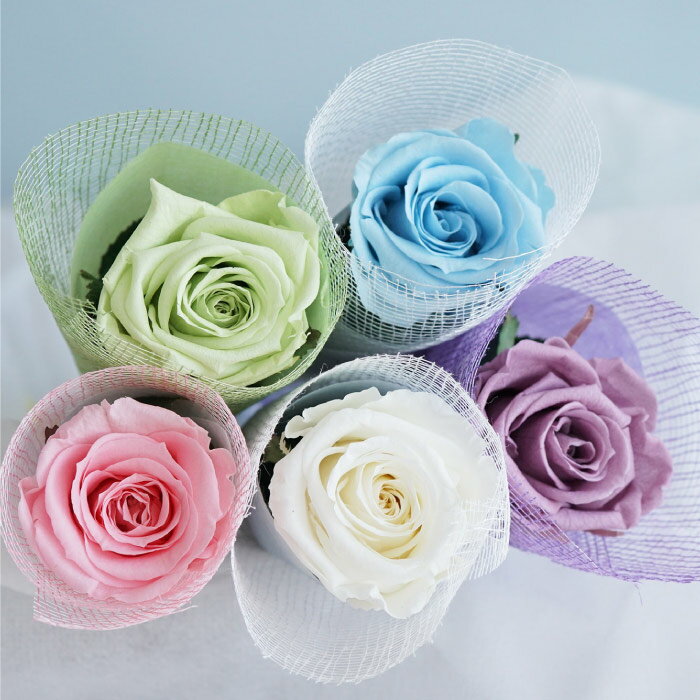 �����ջ���ġ� ���� Ĥ�� ������� �� �Х� ���� �� ������� ���� �� ������ ������ £��ʪ �� ���� �� ���� �ץꥶ���֥ɥե� ʩ�� �Ϥ�ʤ��� ˡ�� �������� ���� �ڥå� ���� ¨��ȯ�� ľ�� ˡ�� ������ ����� ������ʪ ̿�� �ڥå� �� ǭ Ļ