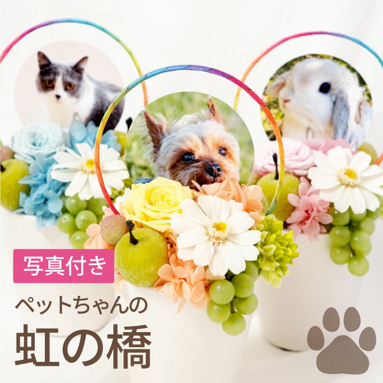 【あす楽＆日付指定可】 プリザーブドフラワー お供え ペット 仏花 『 虹の橋 』 ミニ 仏壇 おしゃれ 犬 お悔やみ 贈り物 四十九日 法要 メモリアルグッズ 写真 メモリアル ペット供養 供養花 命日 お供え物 お供え花 ミニ仏壇 喪中見舞い 花 お花 即日発送 プリザ お彼岸のサムネイル