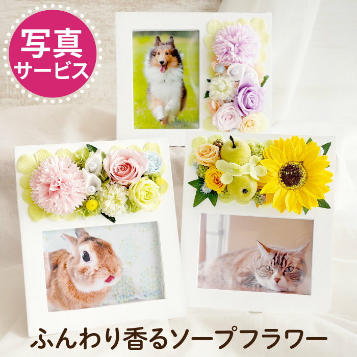 【 送料無料 】想い出のお写真と一緒に贈れるギフト 猫 うさぎ いぬ 4...