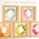 ＼まだ間に合う／ 母の日 プレゼント 花 プリザーブドフラワー 『ジニアと イモーテル の リース 』 電報 結婚式 おしゃれ 祝電 かわいい 結婚祝い 退職祝い 引っ越し祝い 新築祝い 友人 結婚記念日 妻 両親 誕生日プレゼント 女友達 女性 20代 30代 母親 義母 祖母