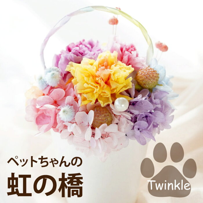 【あす楽16時まで】 ペット お供え 花 犬 お悔やみ 贈り物 お彼岸 『虹の橋 Twinkle』 お供え花 ペット供養 仏花 プリザーブドフラワー ミニ ミニ仏壇 枯れない花 仏壇用 命日 仏壇 供養 49日 法要 一周忌 お供え物 即日発送 四十九日 ブリザードフラワー プリザ お悔み 彼岸