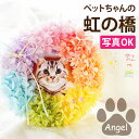 【あす楽＆日付指定可】 ペット お供え 花 犬 お悔やみ 贈り物 虹の橋 リース Angel お供え花 おしゃれ メモリアル フォトフレーム 写真 写真立て ペット供養 仏花 プリザーブドフラワー 供養…