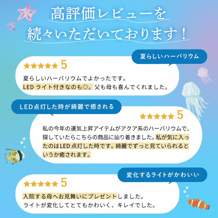 �ϡ��Хꥦ�� ���ե� �� �� ���۽ˤ� ����ƥꥢ���� ������� �� Ǯ�ӵ� �������ꥦ�� �� ���⤷�� �ץ쥼��� �� �ˤλ� �Ҷ� �������ץ쥼��� ���� ��ͧã ���� �� 20�� 30�� ��ʪ ���襤�� �͵� ���ؾ��� ���� �ƥ��ե� ¤�� ͧ�� ���ñۤ��ˤ� ��²�� ���å� FLEGRE