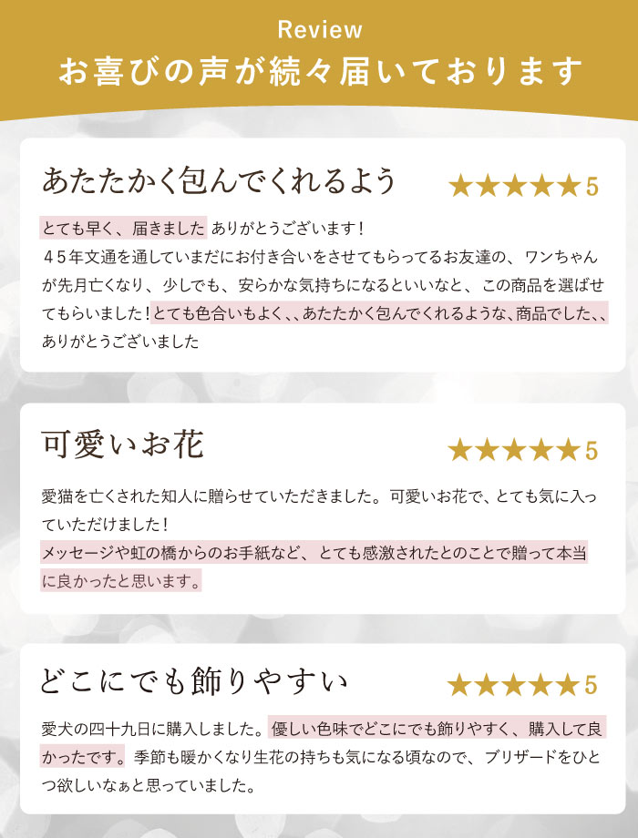 �����ջ���ġ� �ڥå� ���� ������ �� �ץꥶ���֥ɥե� ʩ�� �ߥ� ������ �� ���ζ� �ۤ��� �ܥȥ� �� ����� �� ������� £��ʪ �������� ̿�� ʩ���� �ߥ�ʩ�� ���� �ܥȥ�ե� �ڥåȶ��� ���ܲ� �ץꥶ �֥ꥶ���ɥե� ������ �ͽ����� ����� ǭ