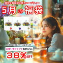【お買い物マラソン★38%OFF&ポイント最大10倍】選べる ハーブティー ティーバッグ 福袋 ノンカフェイン 無添加 送料無料 セット カモミール パッション...