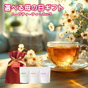 【お買い物マラソン★エントリーでポイント最大10倍】ハーブティー 母の日 ギフト プレゼント ティーバッグ ノンカフェイン 無添加 送料無料 セット エルダーフ...