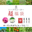 【5/1～10限定★2,510円OFF＆限定各5セット】ハーブウォーター 福袋 化粧水 フローラルウォーター 芳香蒸留水 エキス ローション ウォーター アロマ 送料無料 選べる お試し 植物エキス ハイドロゾル マスクスプレー アロマスプレー 頭皮スプレー 手作り化粧水