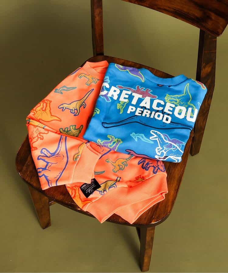 ☆30％～50％OFF☆ BREEZE 【福井県立恐竜博物館コラボ】カラフルDino総柄トレーナー J411815_25秋冬