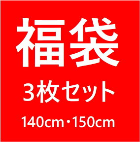 メール便送料無料 F.O.インターナショナルパンツの福袋【男の子用 140・150cm：3枚セット】衣類