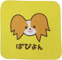 わんわん わーるど ミニタオルハンカチ【ぱぴよん】IT15SH-3 WAN WAN WORLD パピヨン