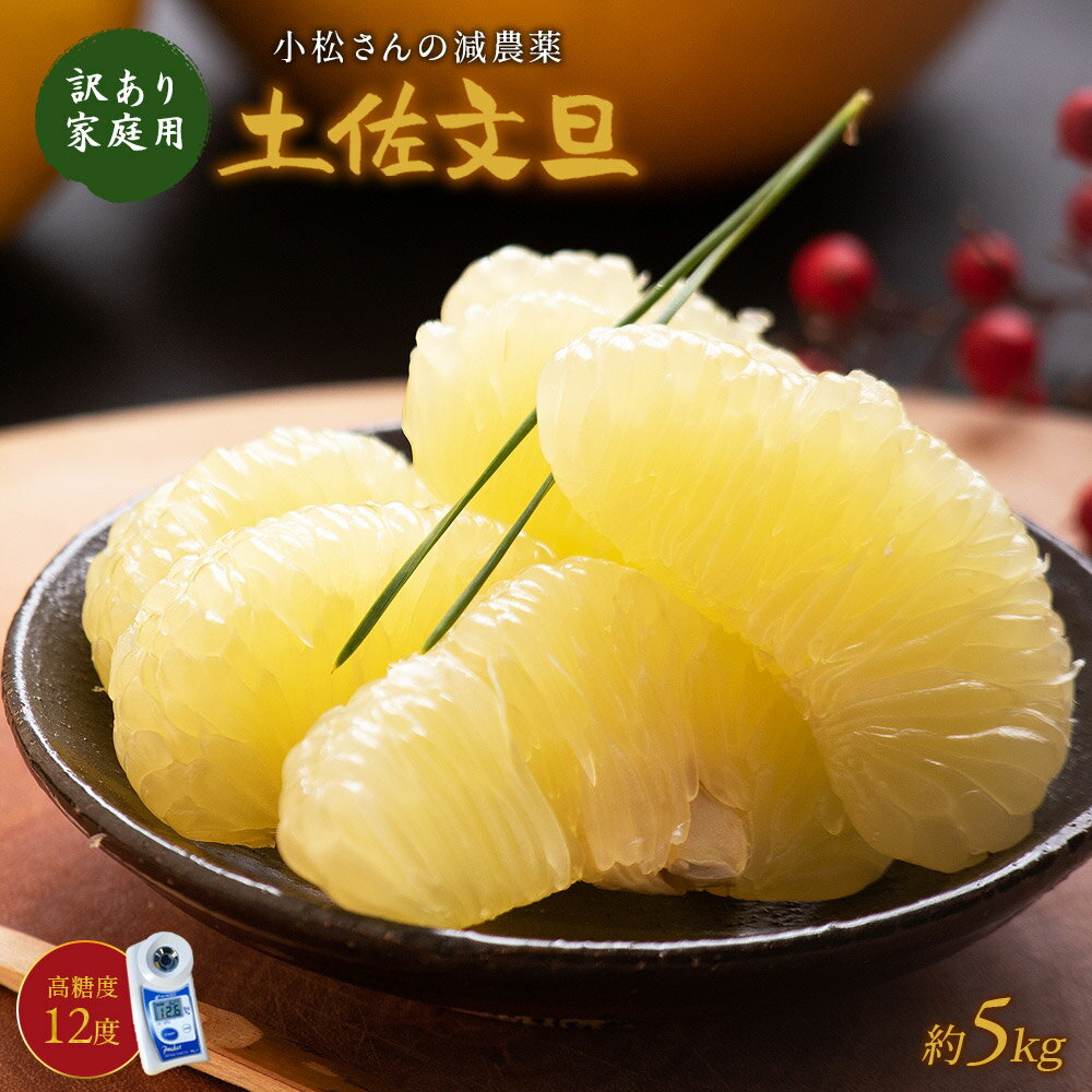 ＼1月中旬発送予約／ 糖度12度 高知県産 土佐文旦 減農薬 約5kg 文旦 家庭用 訳あり品 2L-L パール柑 ブンタン 送料無料 あす楽対応のサムネイル