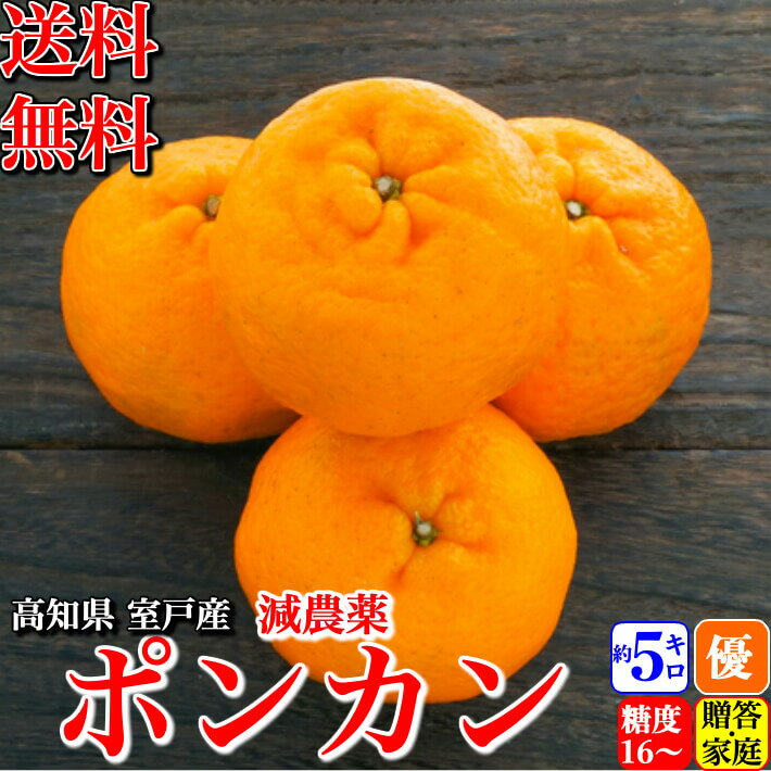 ＼2月上旬発送予約／ 糖度16度 減農薬ぽんかん 約5kg 贈答・家庭用 高知県 室戸産 澤村さんの完熟ポンカン 濃厚 樹上完熟 送料無料のサムネイル