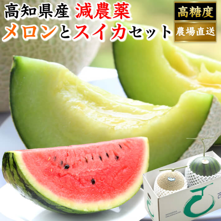 ギフト 高知県産 マスクメロン スイカセット 土佐の楽園 大玉 お取り寄せ 誕生日 プレゼント 贈答 高級 フルーツ 果物 送料無料のサムネイル