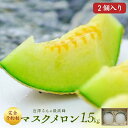 【6月中旬食べ頃】 メロン マスクメロン 中玉 高知県産 近澤さんのとろけるメロン 約1,5kg×2 フルーツ 果物 誕生日 ギフト 贈答用 お取り寄せ お取り...