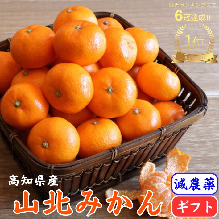 ＼11月発送予約／ 極早生 山北みかん 減農薬 選べる容量 ギフト 優品 サイズおまかせ 高濃度 高知県産 生産者限定 お歳暮 ギフト プレゼント 温州みかん 送料無料のサムネイル