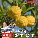 農薬を使用しない 実生 ゆず 有機栽培 無農薬 柚子 (1kg 2kg 5kg) 高知県産 お菓子作り お鍋 焼き魚 傷有 お歳暮 送料無料