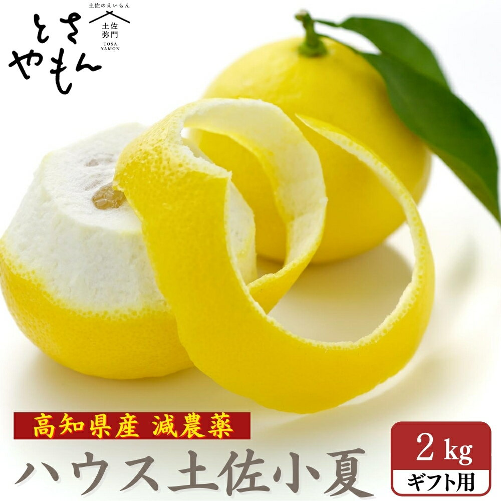 お中元 糖度14度 高知県山北産 減農薬ハウス小夏 2kg 日向夏 ギフト用 サイズおまかせ 御中元 母の日 澤村さんのハウス小夏 誕生日 ギフト プレゼント お取り寄せ ギフト 送料無料のサムネイル