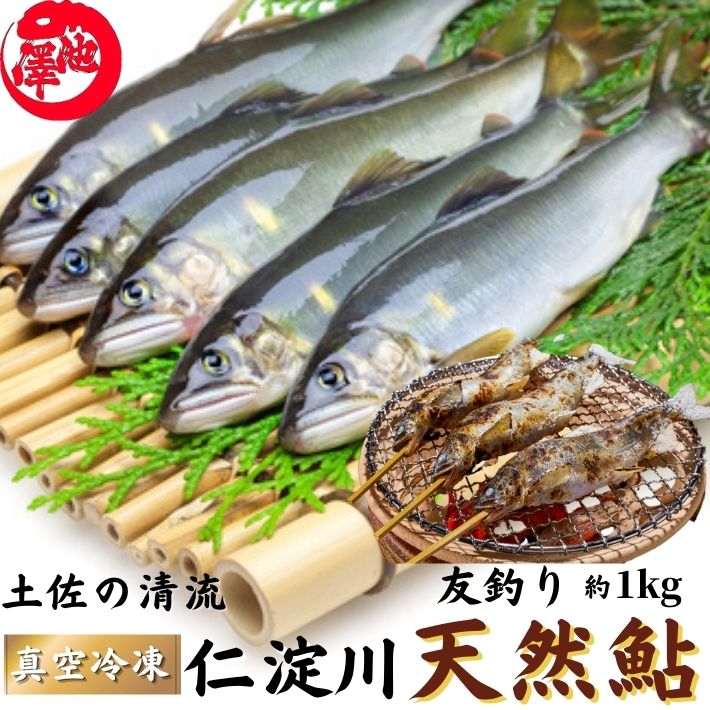 鮎 仁淀川 極上 天然鮎 1kg 友釣り鮎 仁淀ブルーで育った天然鮎 高知県産 誕生日 プレゼント ギフト お祝い 贈答用 お取り寄せ お取り寄せグルメ 送料無料 あす楽対応のサムネイル