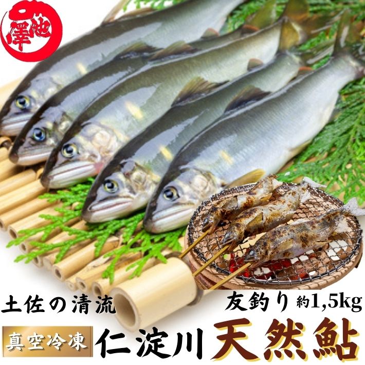 鮎 仁淀川 極上 天然鮎 1,5kg 友釣り鮎 仁淀ブルーで育った天然鮎 高知県産 誕生日 プレゼント ギフト お祝い 贈答用 お取り寄せ お取り寄せグルメ 送料無料 あす楽対応のサムネイル