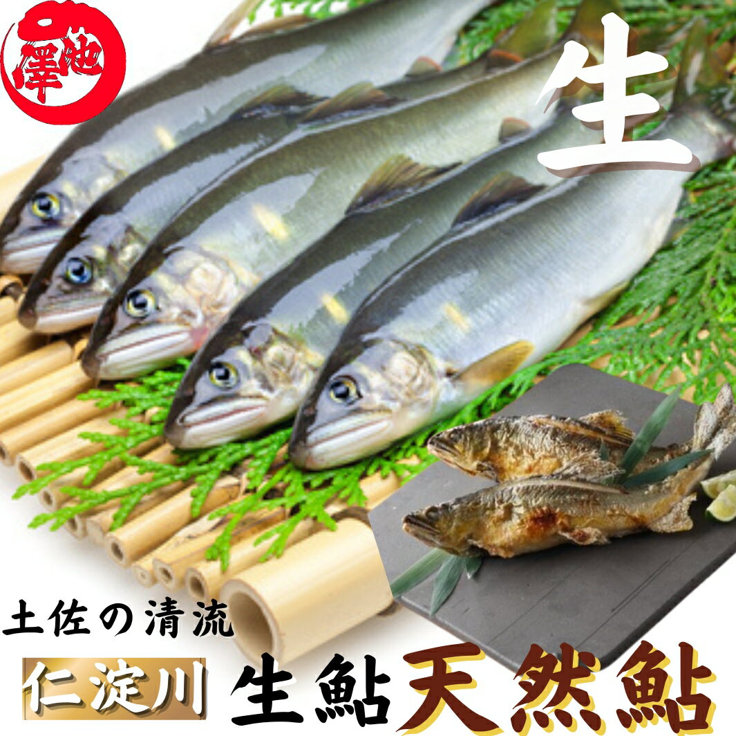 冷凍していない生鮎 鮎 高知県 仁淀川 天然鮎 友釣り鮎 父の日 お中元 御中元 誕生日 プレゼント ギフト お祝い 贈答用 お取り寄せ お取り寄せグルメ 送料無料