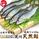 ＼数量限定／ 小鮎 仁淀川 極上 天然鮎 （500g 1kg） ...