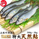 【母の日クーポン半額】鮎 特大鮎 仁淀川 極上 天然鮎 (500g 1kg)友釣り鮎 仁淀ブルーで育った天然鮎 高知県産 誕生日 プレゼント ギフト お祝い お...
