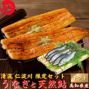 高知県 仁淀川 うなぎ 蒲焼き 天然鮎 セット 高知県産 仁淀川堪能セット 国産 完全無投薬鰻 土用の丑 誕生日 プレゼント ギフト お祝い 贈答用 お取り寄せ お取り寄せグルメ 送料無料