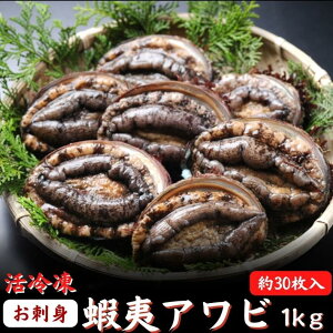 お刺身 蝦夷あわび アワビ たっぷり1kg（約30個入）活冷凍 あわび 高級食材 海鮮 BBQ ギフト グルメ 誕生日 プレゼント 海鮮 海産物 お取り寄せ お取り寄せグルメ 送料無料 あす楽対応