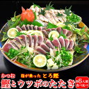 土佐沖 日戻り 藁焼き鰹たたき ウツボのたたき 食べ比べセット 各2本入 誕生日 プレゼント ギフト 贈答 海鮮 珍味 お取り寄せ お取り寄せグルメ 送料無料